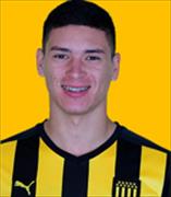 ดาร์วิน เกเบรียล นูนเยซ ริเบโร่